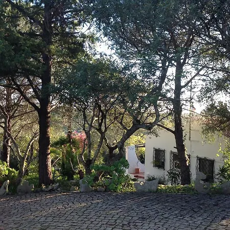 Holiday home Quinta Do Alecrim *
