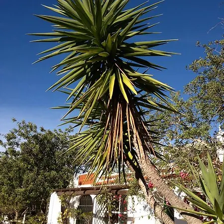 Quinta Do Alecrim Holiday home *